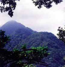 Mt. Pangasugan